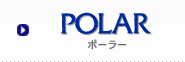 POLAR ݡ顼